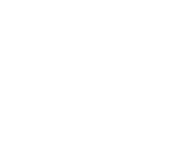Young Factor